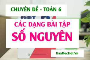 Các dạng bài tập số nguyên từ cơ bản và nâng cao (đầy đủ) Toán 6
